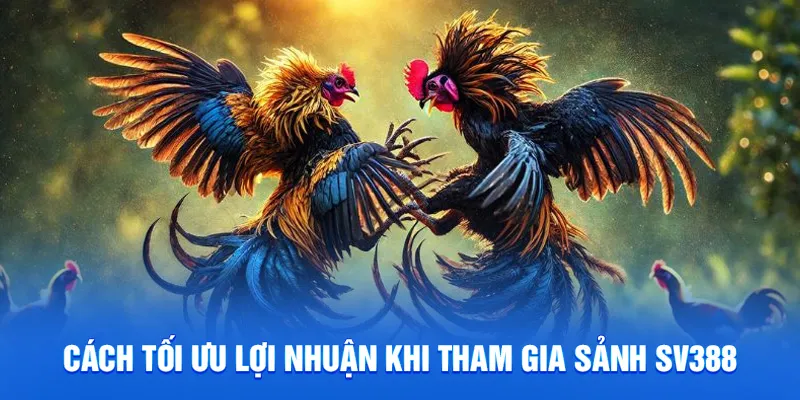Cách tối ưu lợi nhuận khi tham gia sảnh SV388
